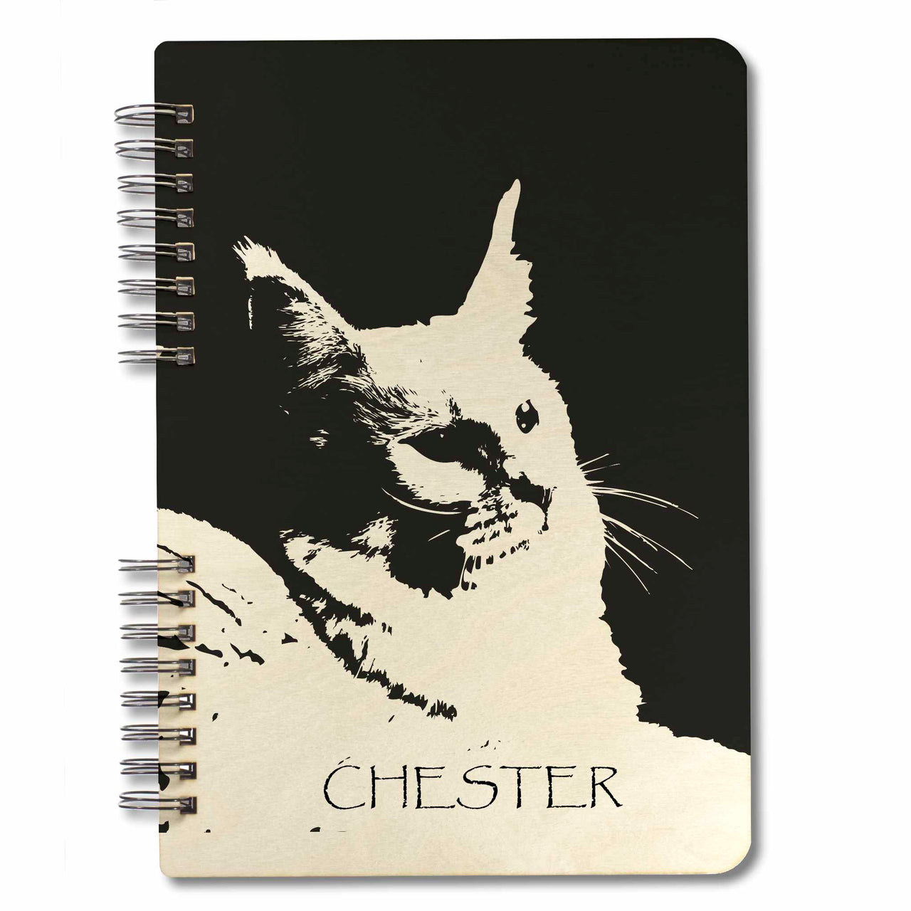 album na zdjęcia kota CHESTERA